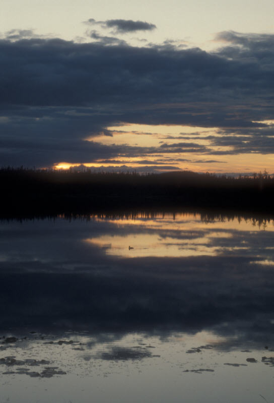 ak-16-35 sunset lake, loon