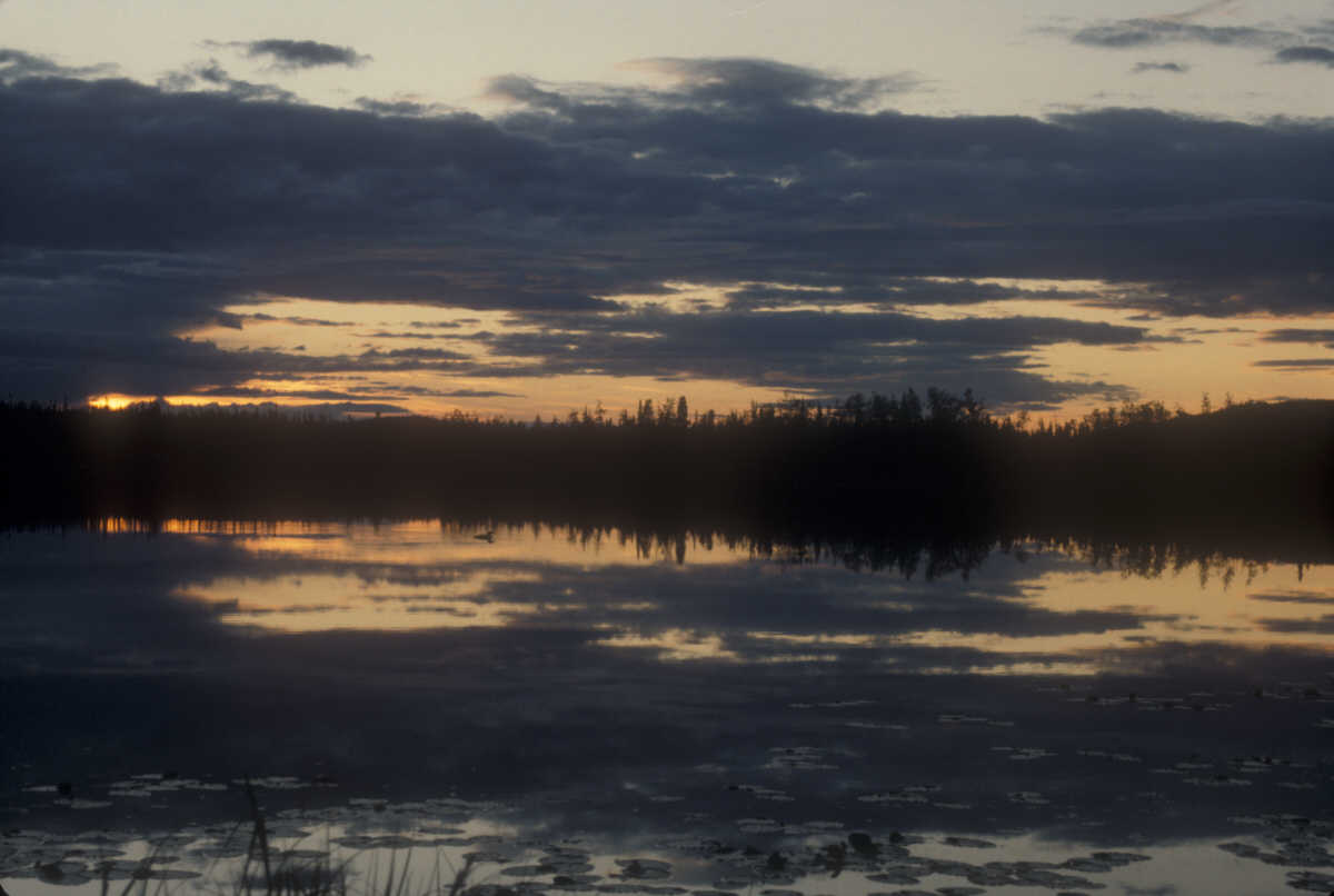 ak-16-36 sunset lake, loon