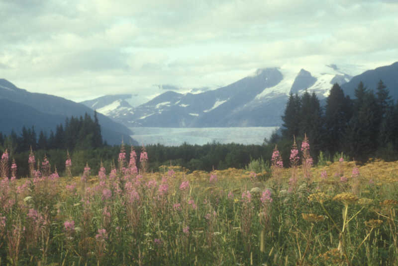 ak-19-38 Mindenhall Glacier