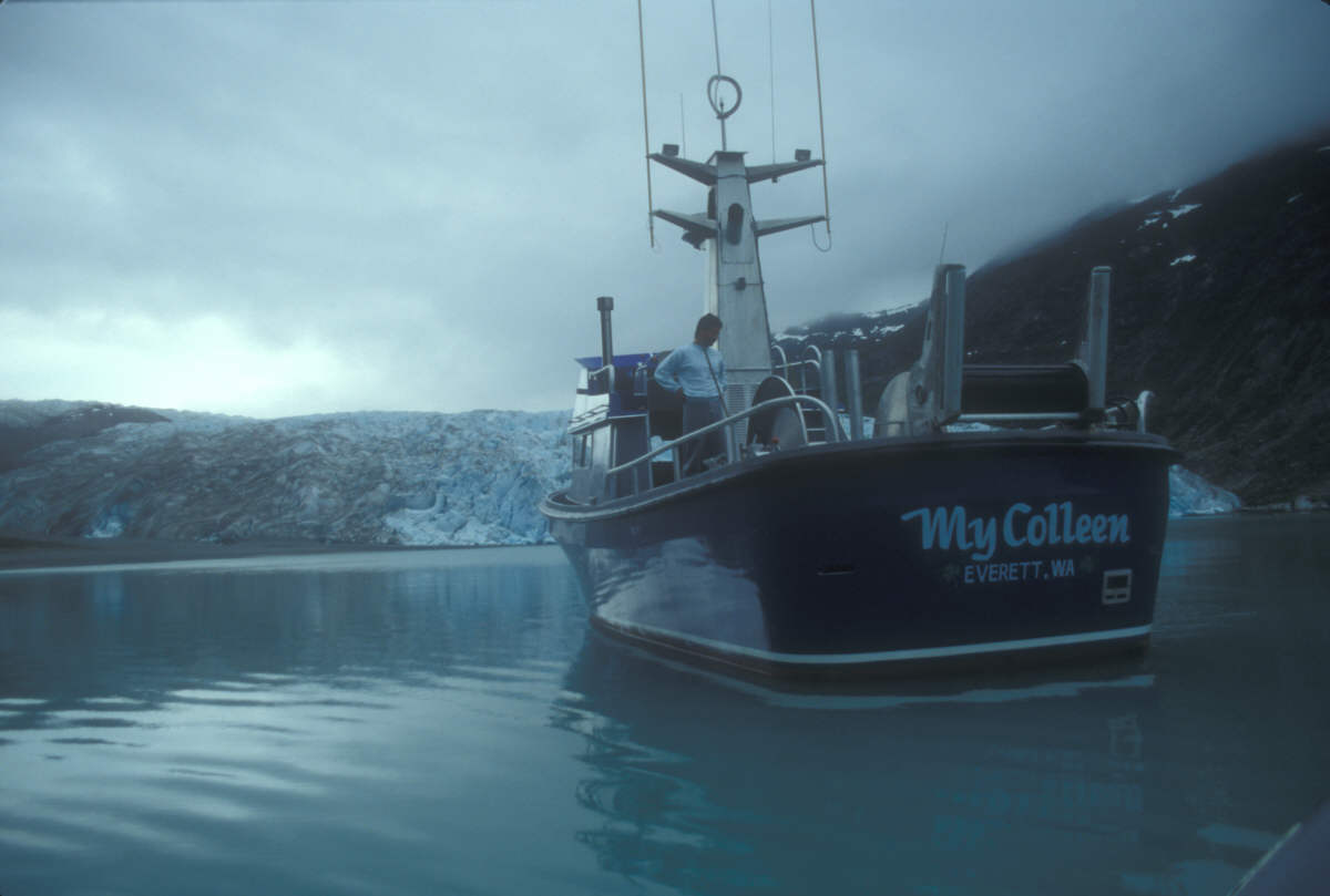 large bay with fin of whale