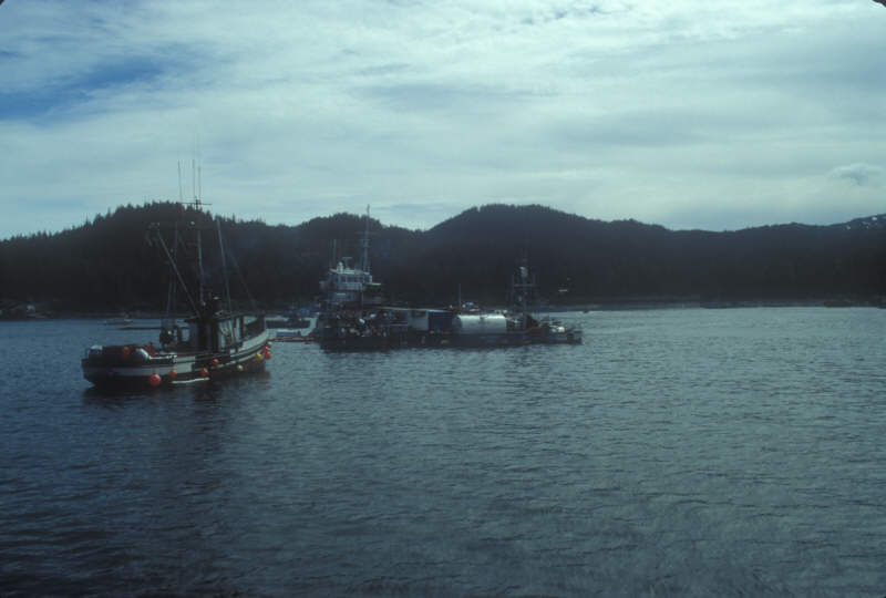 ak-08-11 oil clean-up activities on Prince William Sound