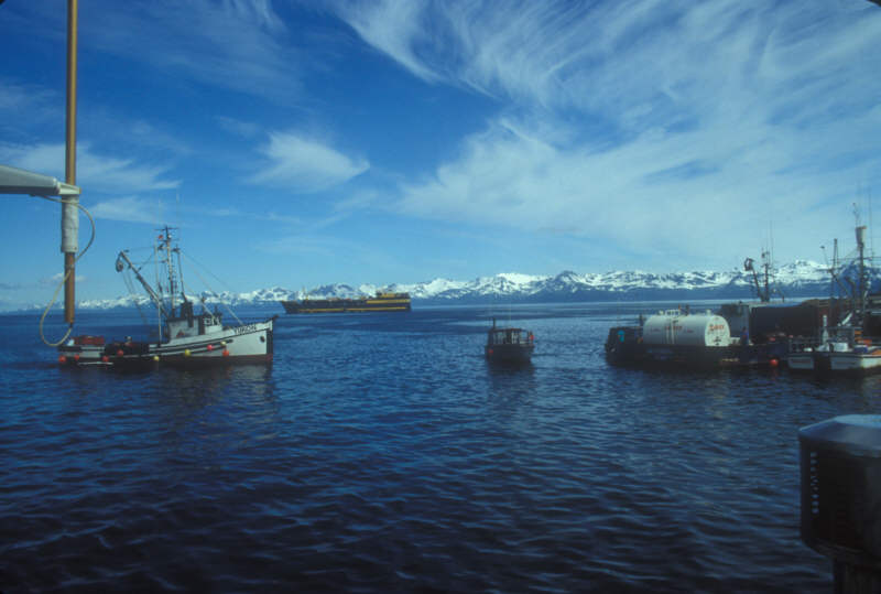 ak-08-12 oil clean-up activities on Prince William Sound