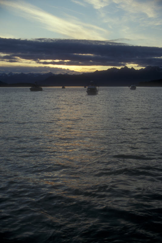 ak96-b-21 Snug Harbor sunset