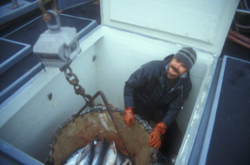 ak96-b-33 fish hold, Clint