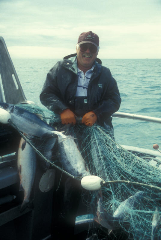 ak96-c-12 Les pulling net
