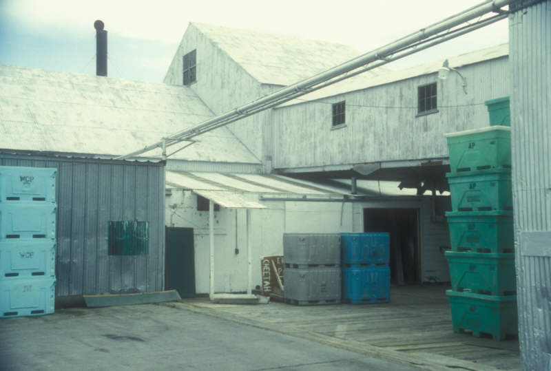 ak96-c-36 Ward's Cove canery