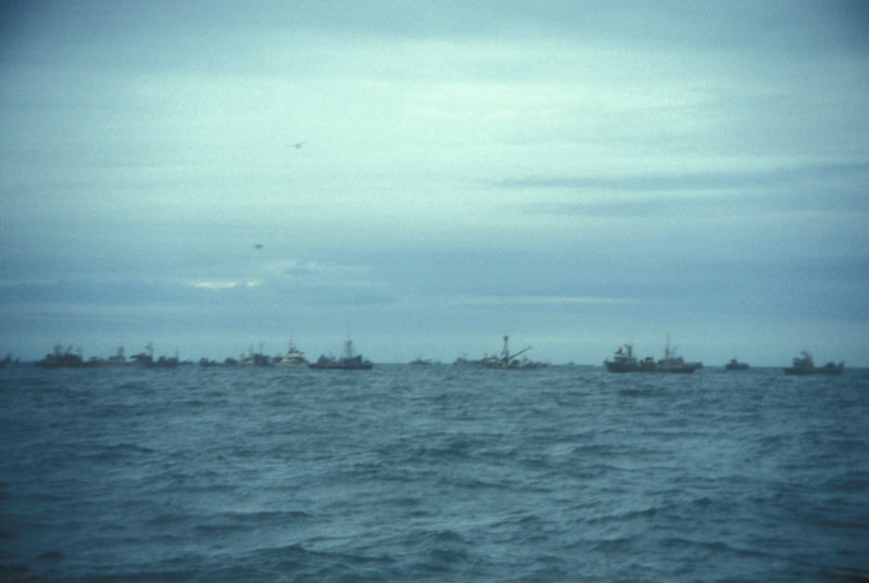 ak96-d-02 fish line