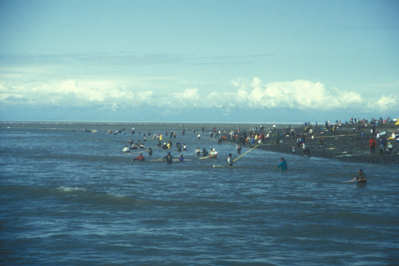 ak96-d-03 locals line the river bank
