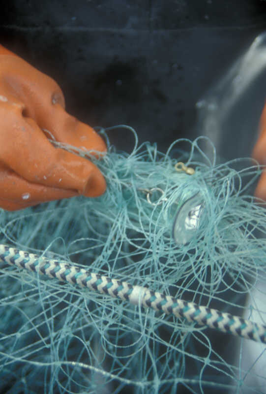 ak96-d-27 net mess