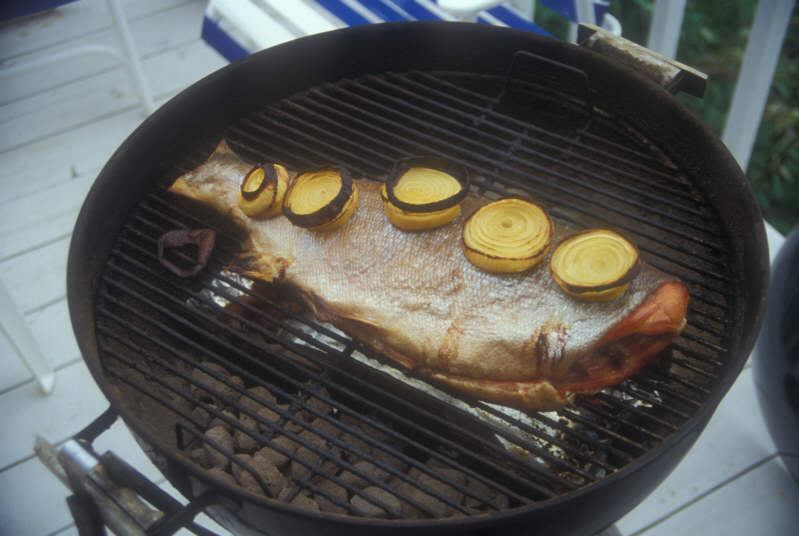 ak96-d-43 salmon grilling